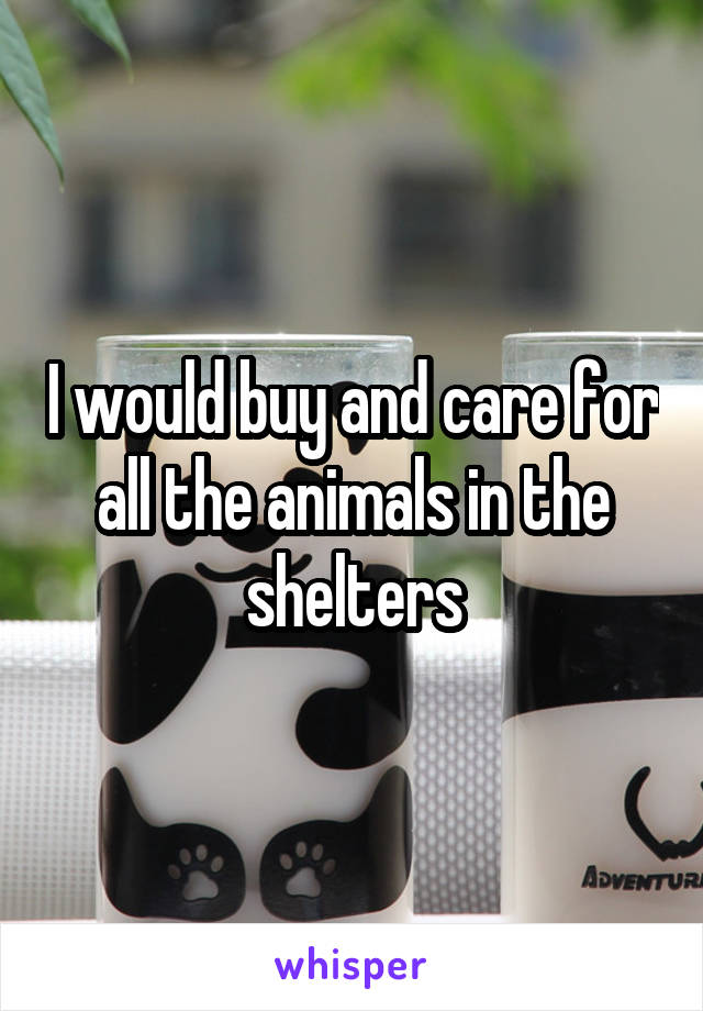 I would buy and care for all the animals in the shelters