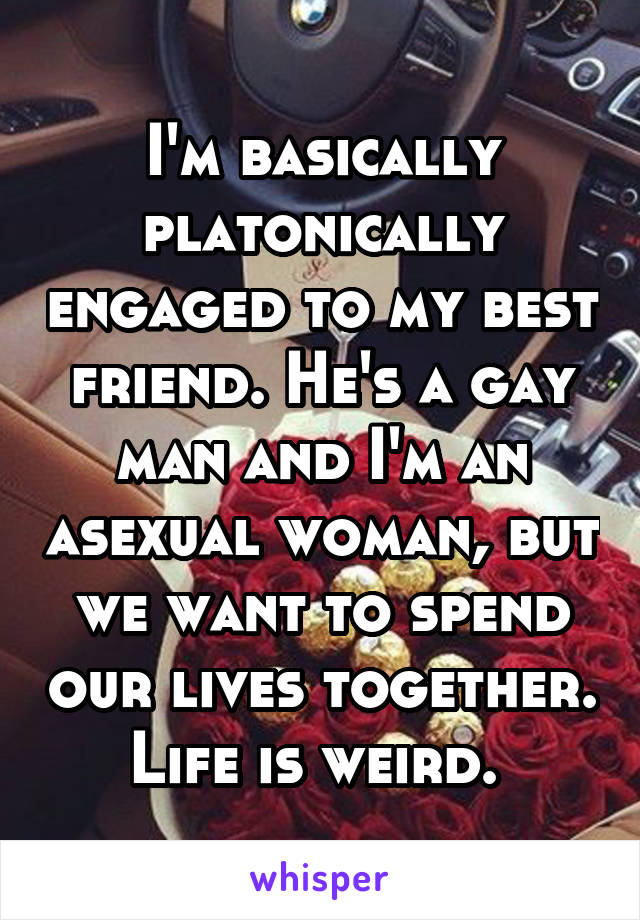 I'm basically platonically engaged to my best friend. He's a gay man and I'm an asexual woman, but we want to spend our lives together. Life is weird. 