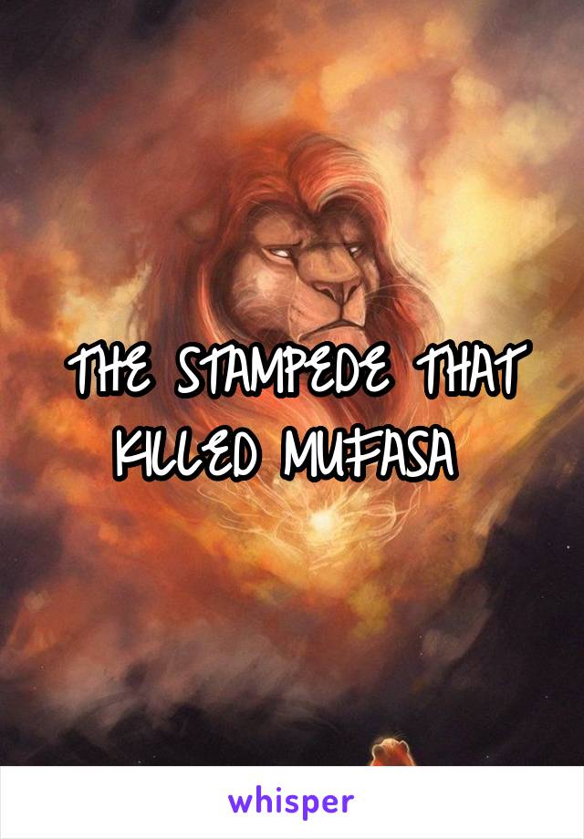 THE STAMPEDE THAT KILLED MUFASA 