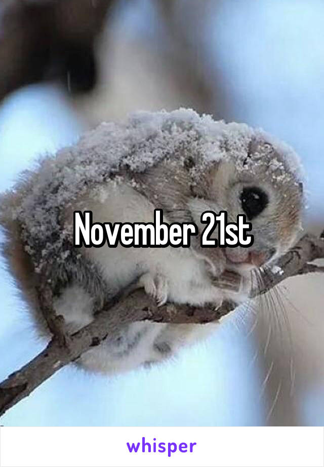 November 21st