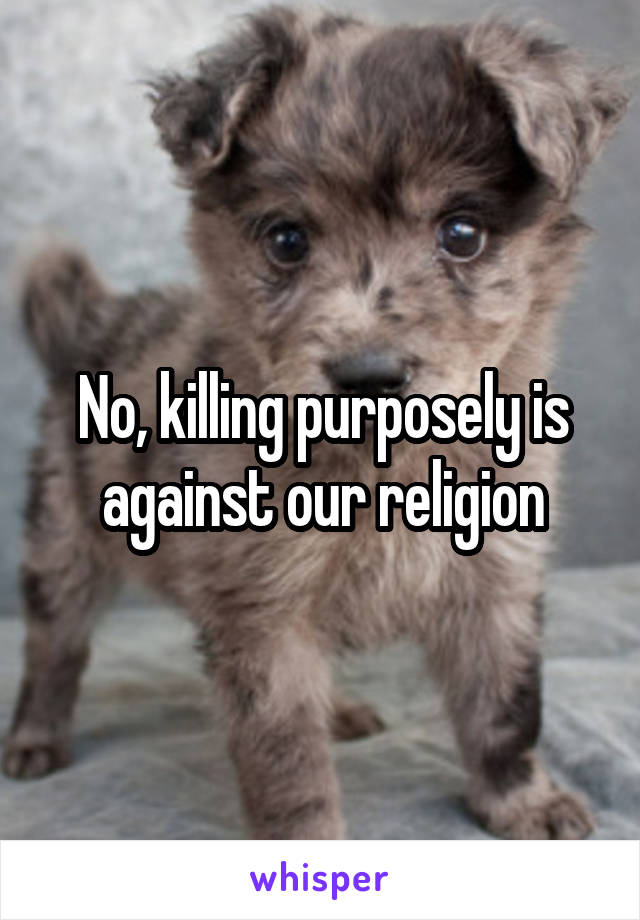 No, killing purposely is against our religion