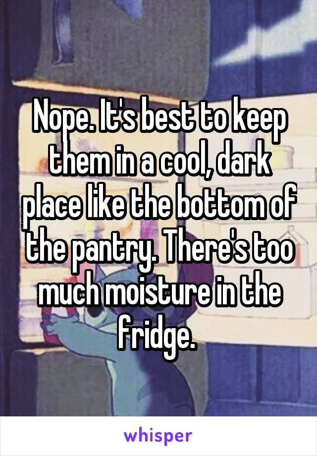 Nope. It's best to keep them in a cool, dark place like the bottom of the pantry. There's too much moisture in the fridge. 