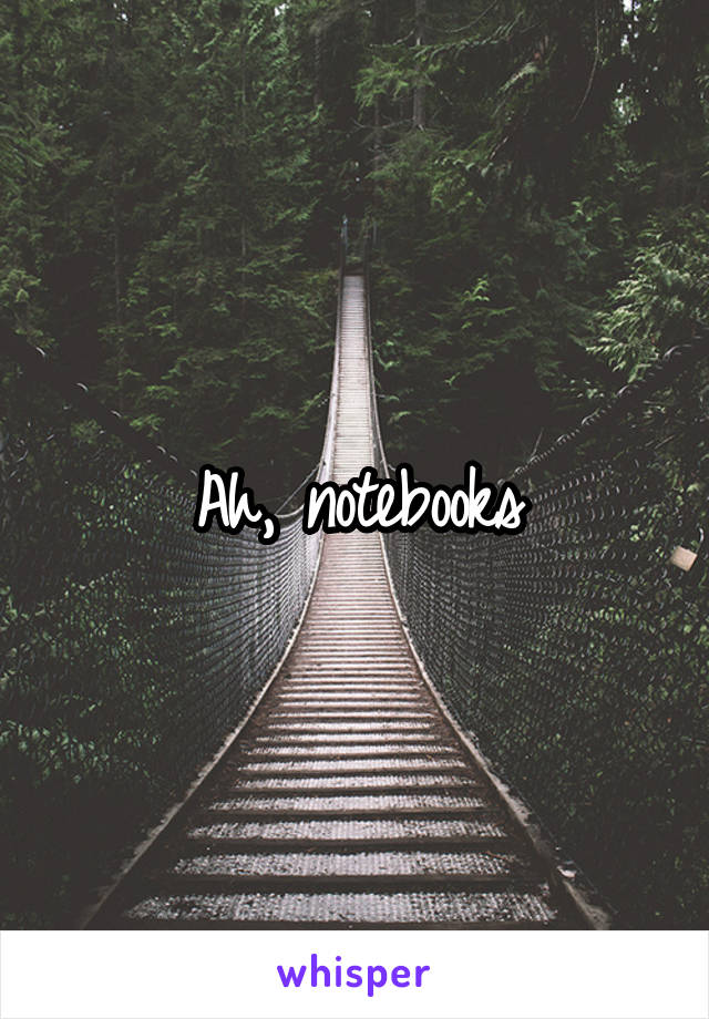 Ah, notebooks