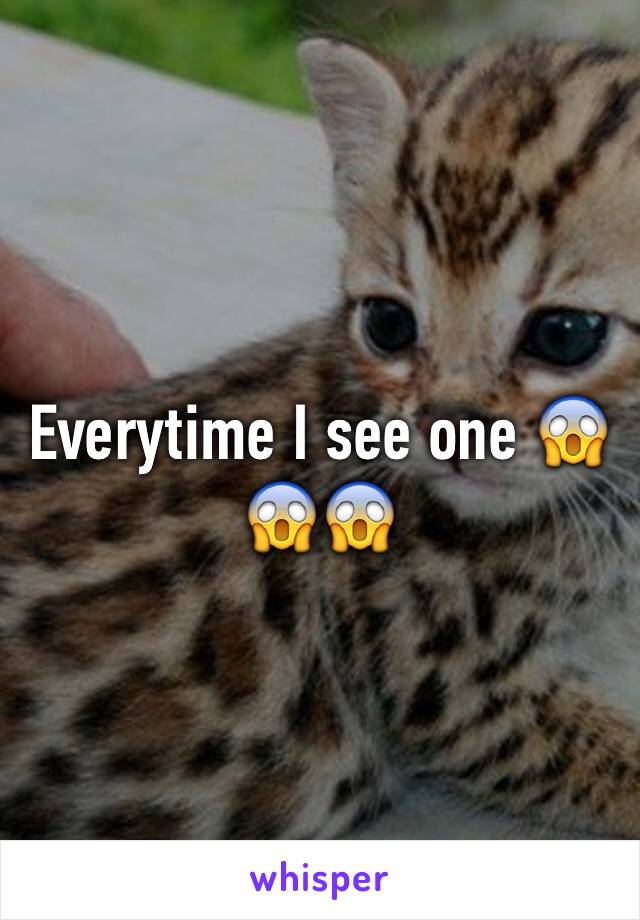 Everytime I see one 😱😱😱