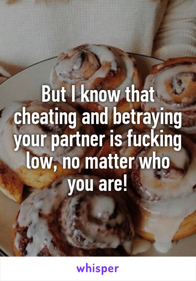 But I know that cheating and betraying your partner is fucking low, no matter who you are!