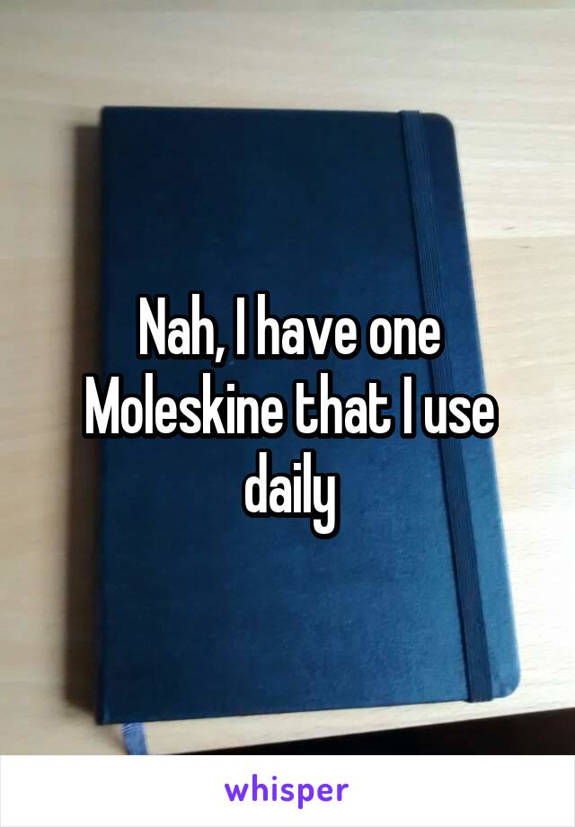 Nah, I have one Moleskine that I use daily