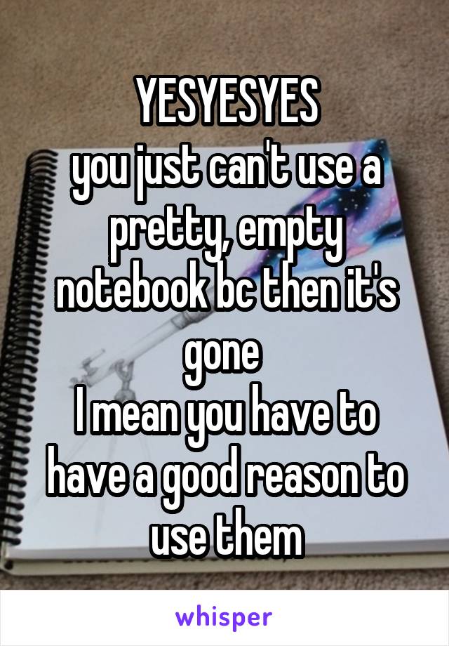 YESYESYES
you just can't use a pretty, empty notebook bc then it's gone 
I mean you have to have a good reason to use them