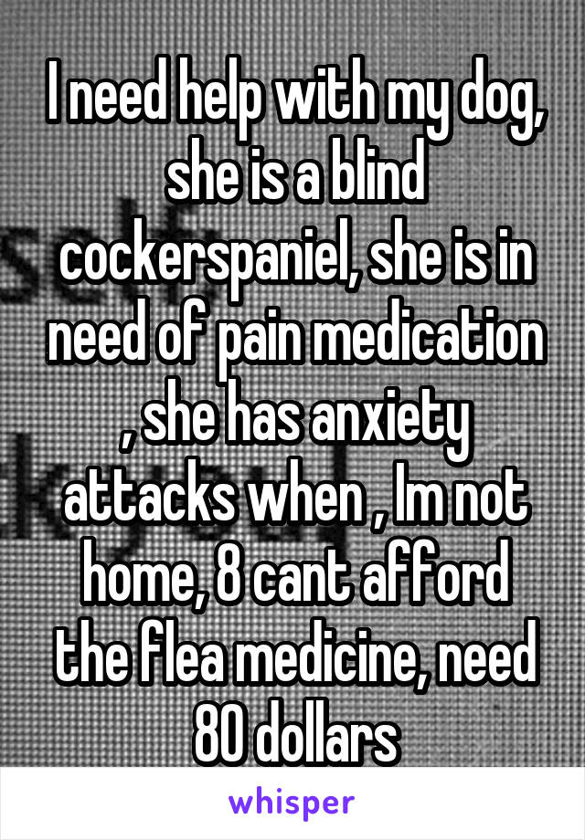 I need help with my dog, she is a blind cockerspaniel, she is in need of pain medication , she has anxiety attacks when , Im not home, 8 cant afford the flea medicine, need 80 dollars