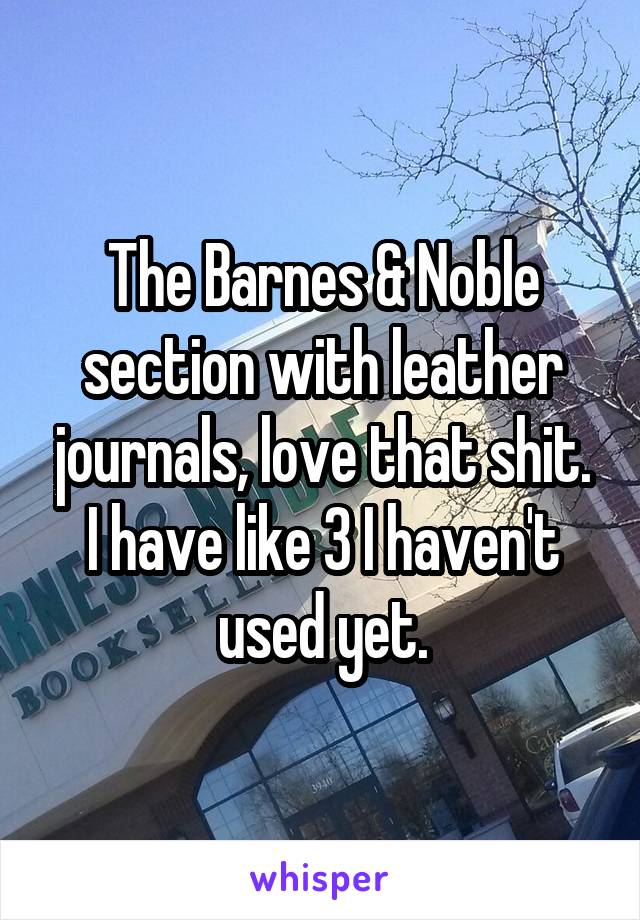 The Barnes & Noble section with leather journals, love that shit. I have like 3 I haven't used yet.