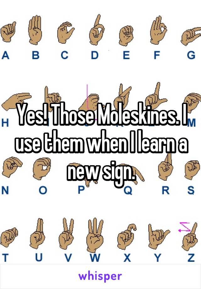 Yes! Those Moleskines. I use them when I learn a new sign.