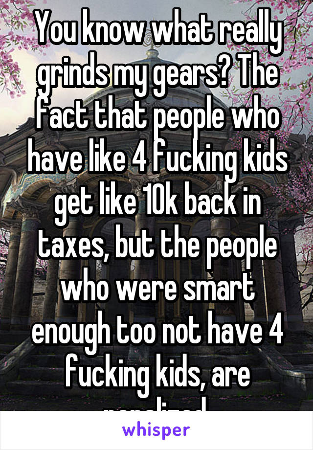 You know what really grinds my gears? The fact that people who have like 4 fucking kids get like 10k back in taxes, but the people who were smart enough too not have 4 fucking kids, are penalized.