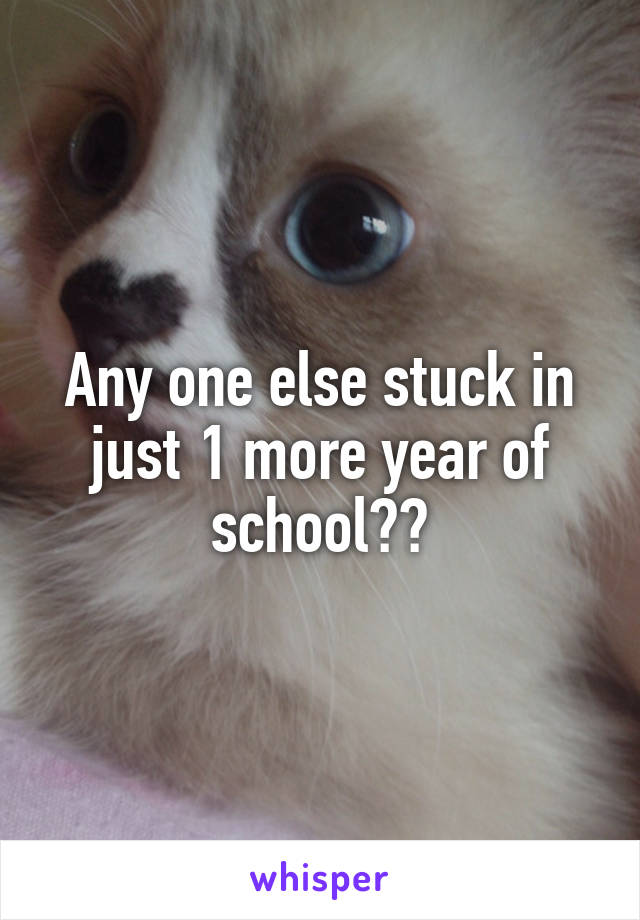 Any one else stuck in just 1 more year of school??