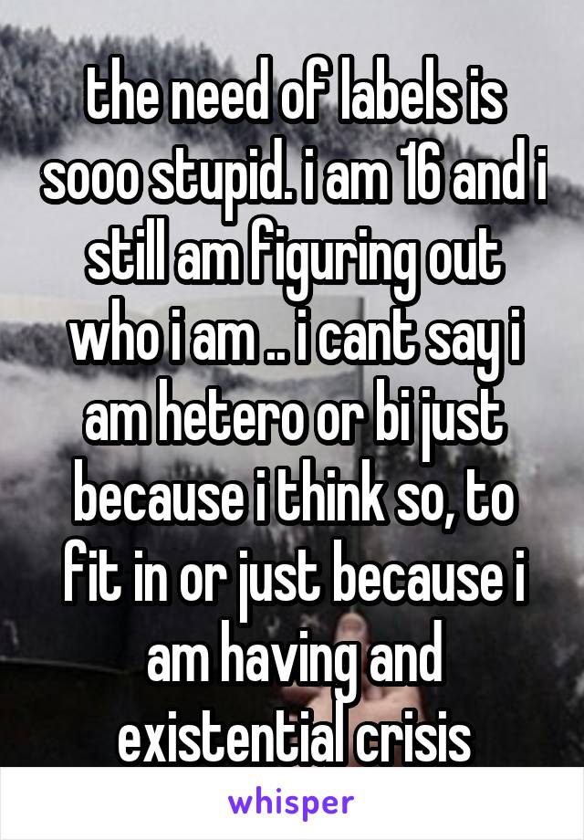 the need of labels is sooo stupid. i am 16 and i still am figuring out who i am .. i cant say i am hetero or bi just because i think so, to fit in or just because i am having and existential crisis