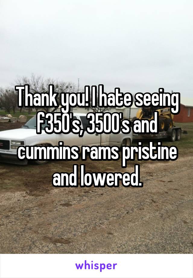 Thank you! I hate seeing f350's, 3500's and cummins rams pristine and lowered.
