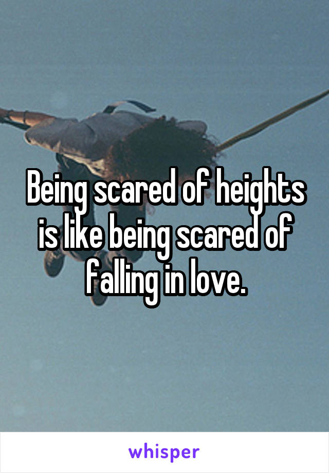 Being scared of heights is like being scared of falling in love.