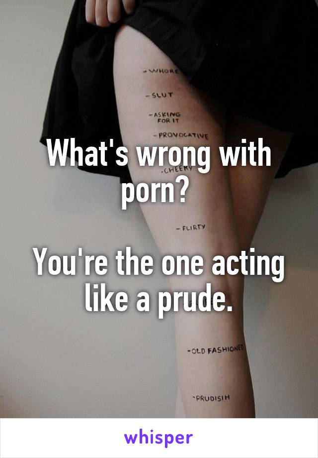 What's wrong with porn? 

You're the one acting like a prude.
