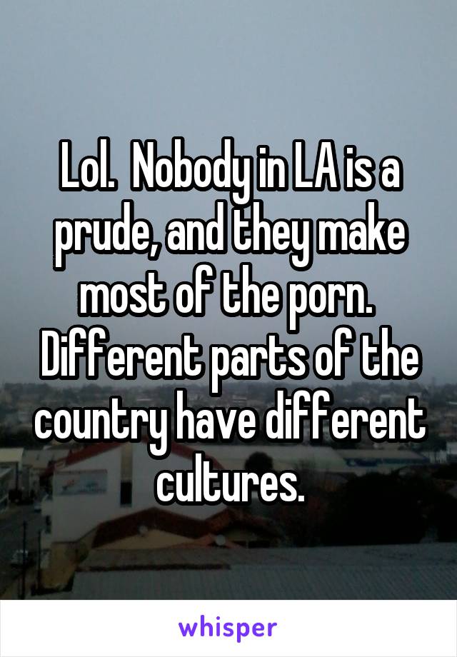 Lol.  Nobody in LA is a prude, and they make most of the porn.  Different parts of the country have different cultures.