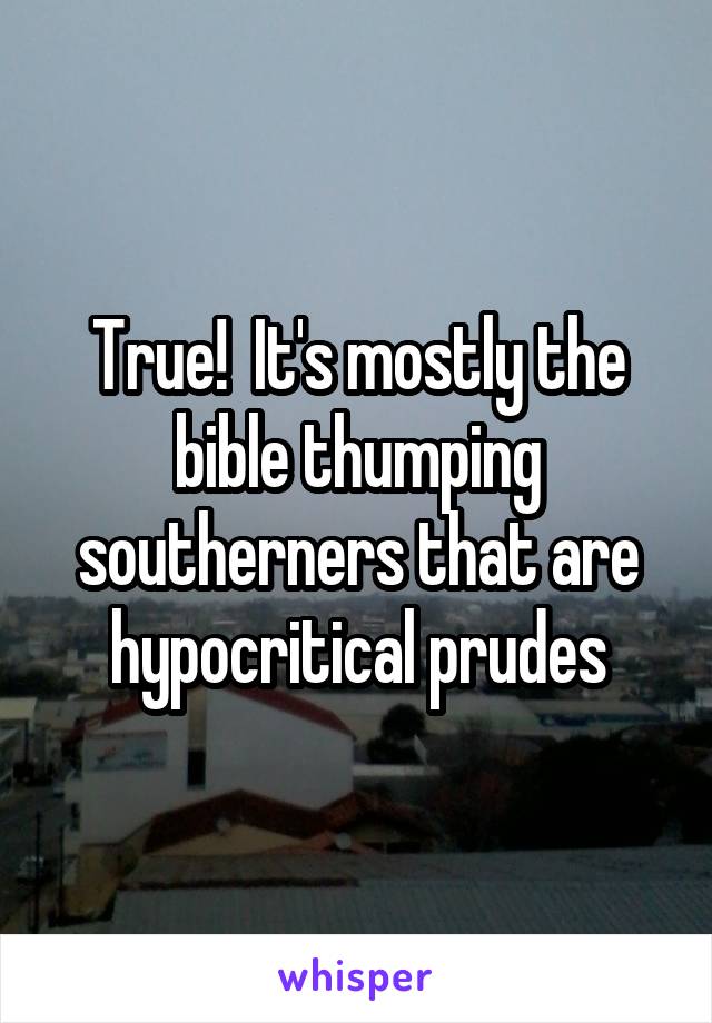 True!  It's mostly the bible thumping southerners that are hypocritical prudes