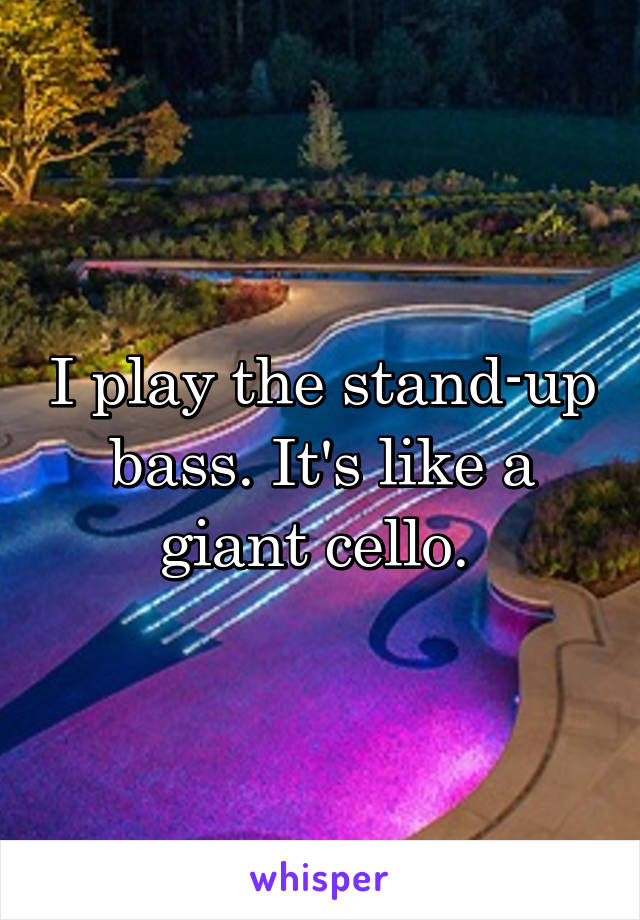 I play the stand-up bass. It's like a giant cello. 
