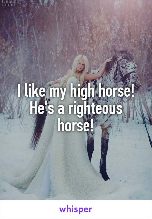 I like my high horse!
He's a righteous horse!