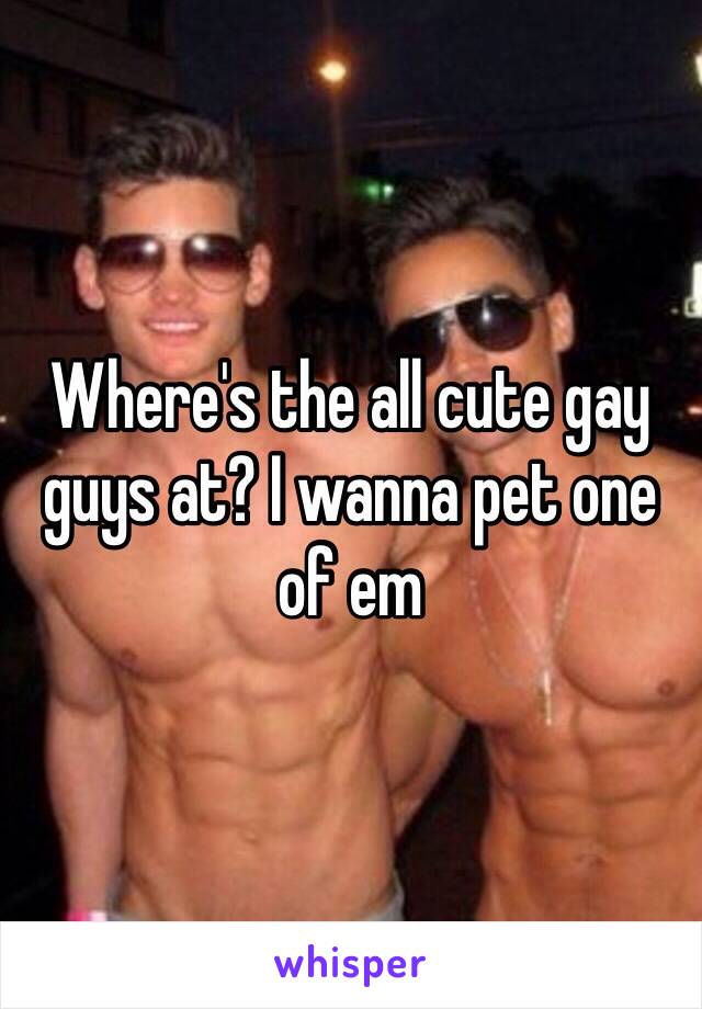 Where's the all cute gay guys at? I wanna pet one of em