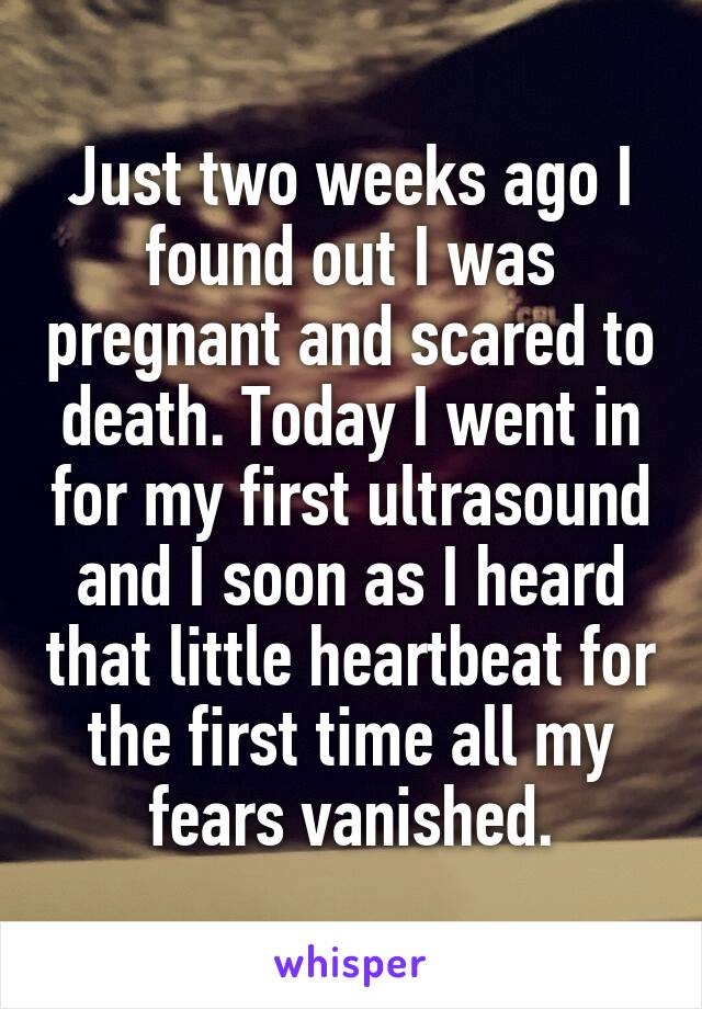 Just two weeks ago I found out I was pregnant and scared to death. Today I went in for my first ultrasound and I soon as I heard that little heartbeat for the first time all my fears vanished.