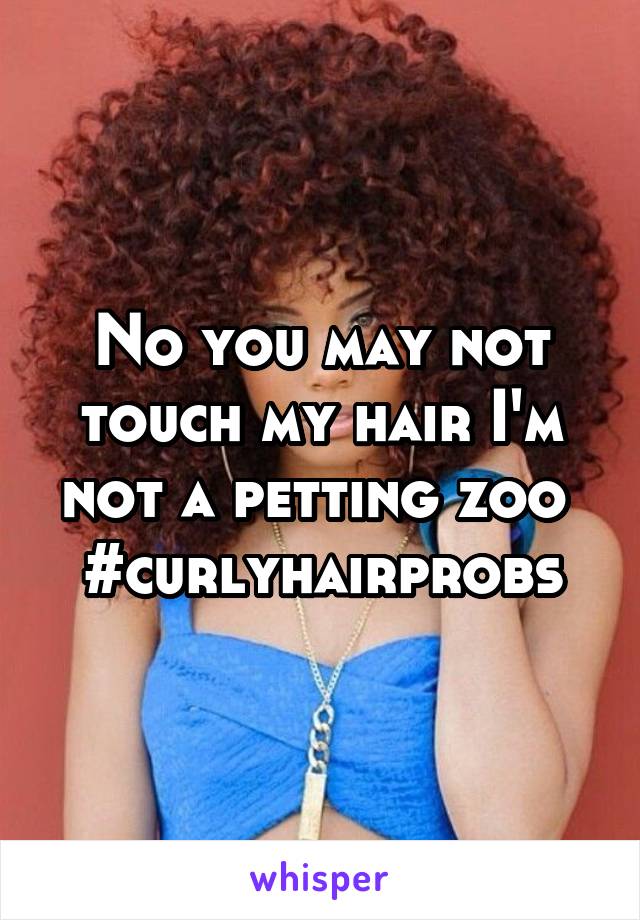 No you may not touch my hair I'm not a petting zoo 
#curlyhairprobs