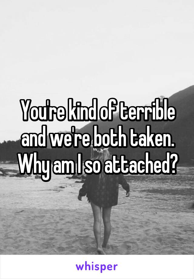 You're kind of terrible and we're both taken. Why am I so attached?