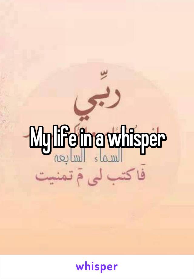 My life in a whisper
