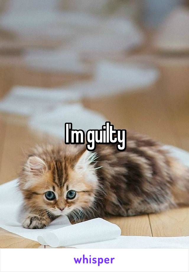 I'm guilty