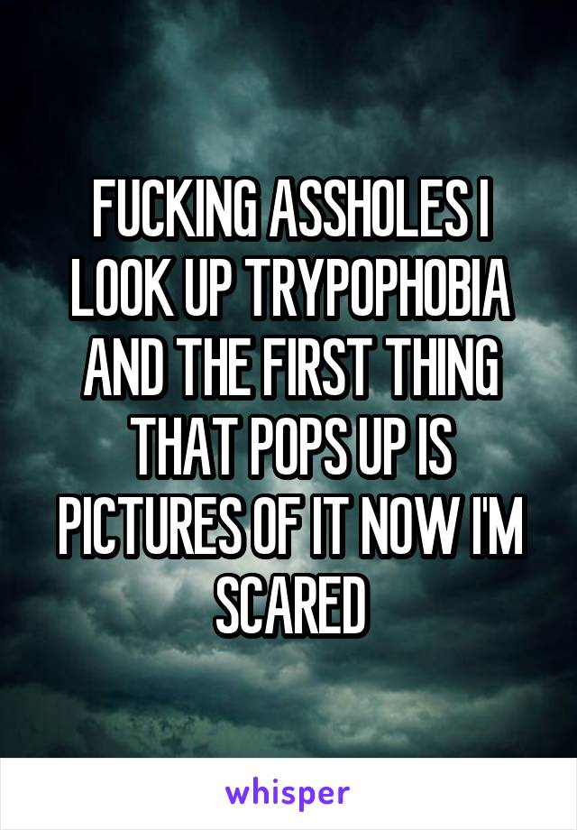 FUCKING ASSHOLES I LOOK UP TRYPOPHOBIA AND THE FIRST THING THAT POPS UP IS PICTURES OF IT NOW I'M SCARED