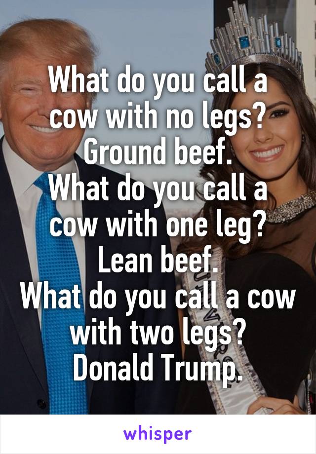 What do you call a cow with no legs? Ground beef.
What do you call a cow with one leg?
Lean beef.
What do you call a cow with two legs?
Donald Trump.