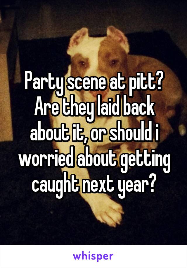 Party scene at pitt?
Are they laid back about it, or should i worried about getting caught next year?