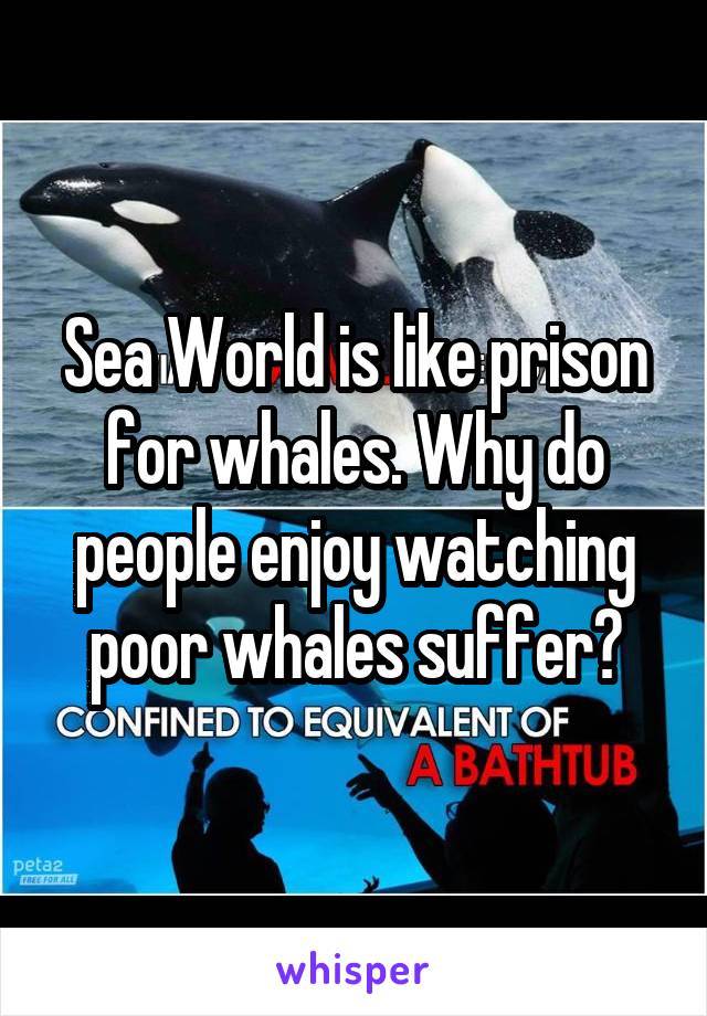 Sea World is like prison for whales. Why do people enjoy watching poor whales suffer?