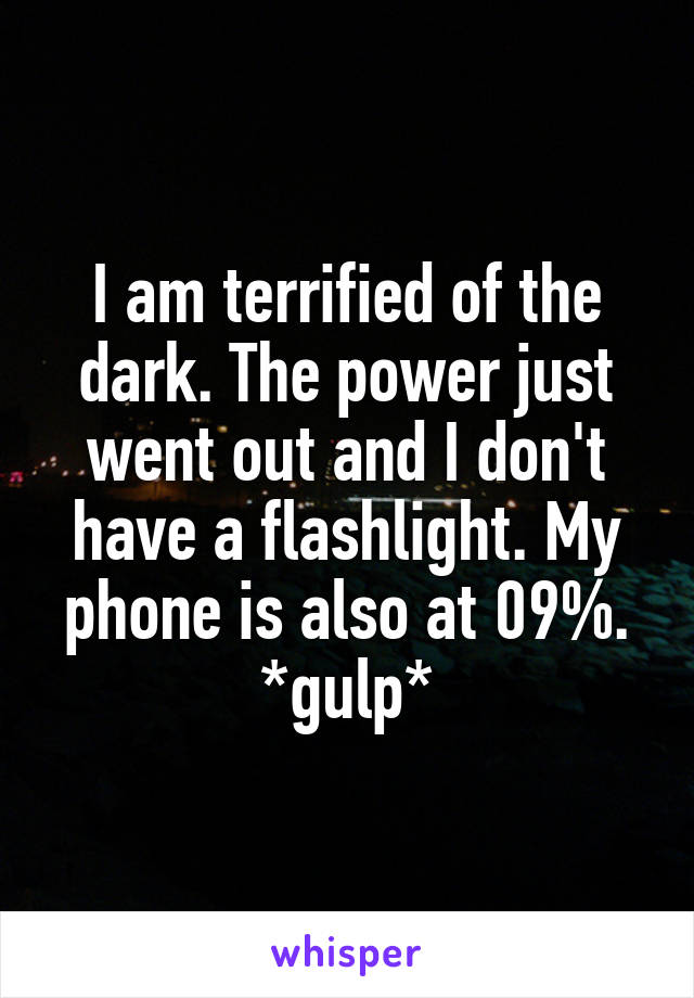 I am terrified of the dark. The power just went out and I don't have a flashlight. My phone is also at 09%. *gulp*