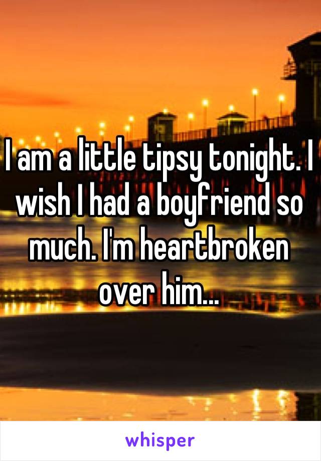 I am a little tipsy tonight. I wish I had a boyfriend so much. I'm heartbroken over him...