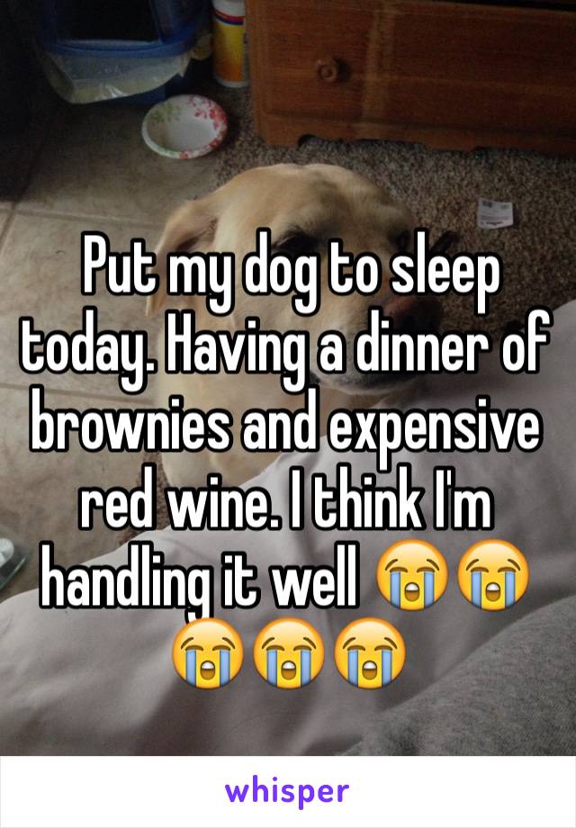 
 Put my dog to sleep today. Having a dinner of brownies and expensive red wine. I think I'm handling it well 😭😭😭😭😭