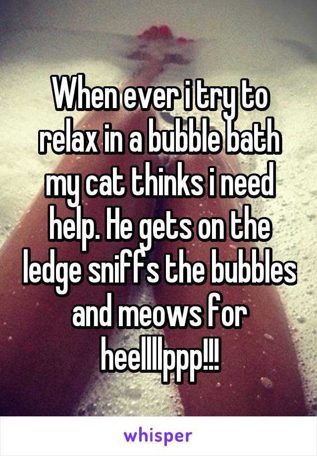 When ever i try to relax in a bubble bath my cat thinks i need help. He gets on the ledge sniffs the bubbles and meows for heellllppp!!!