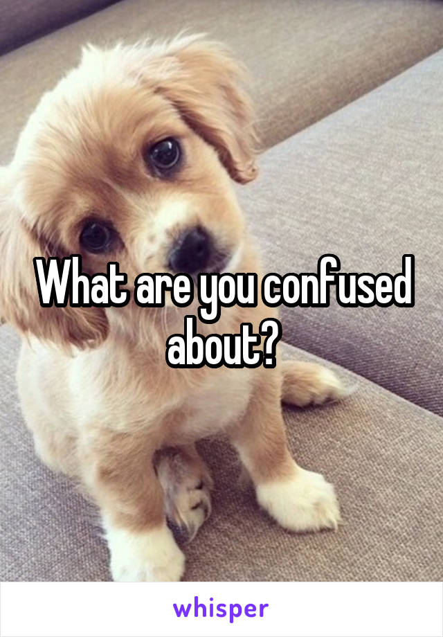 What are you confused about?