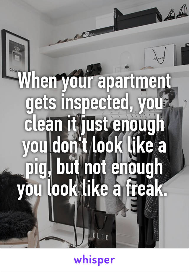 When your apartment gets inspected, you clean it just enough you don't look like a pig, but not enough you look like a freak. 