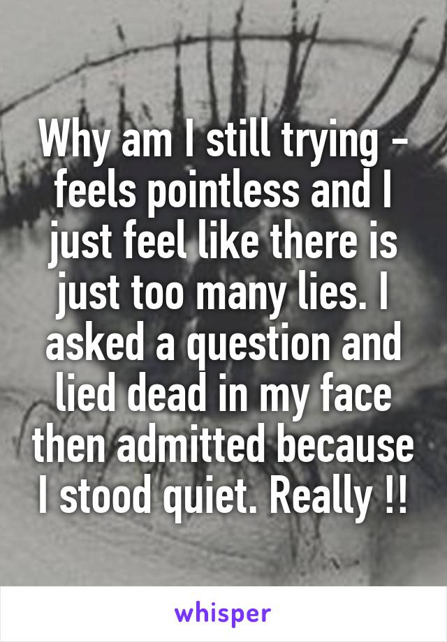 Why am I still trying - feels pointless and I just feel like there is just too many lies. I asked a question and lied dead in my face then admitted because I stood quiet. Really !!