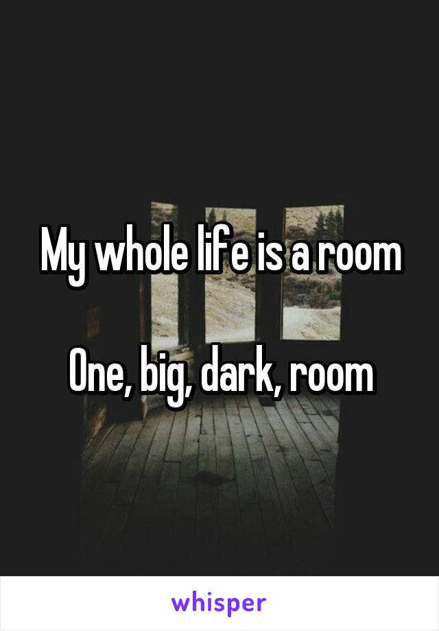 My whole life is a room

One, big, dark, room
