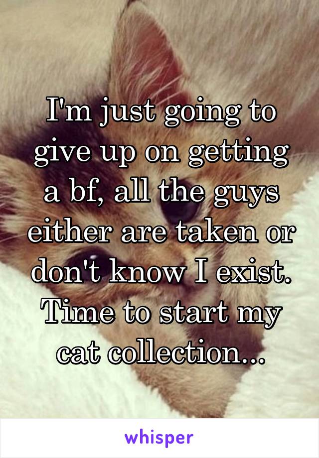 I'm just going to give up on getting a bf, all the guys either are taken or don't know I exist. Time to start my cat collection...