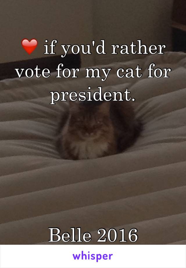 ❤️ if you'd rather vote for my cat for president.





Belle 2016
