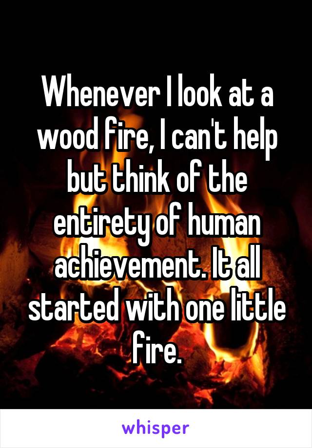 Whenever I look at a wood fire, I can't help but think of the entirety of human achievement. It all started with one little fire.