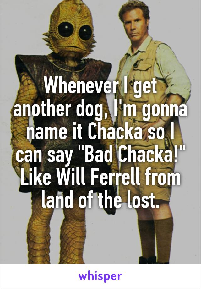 Whenever I get another dog, I'm gonna name it Chacka so I can say "Bad Chacka!" Like Will Ferrell from land of the lost.