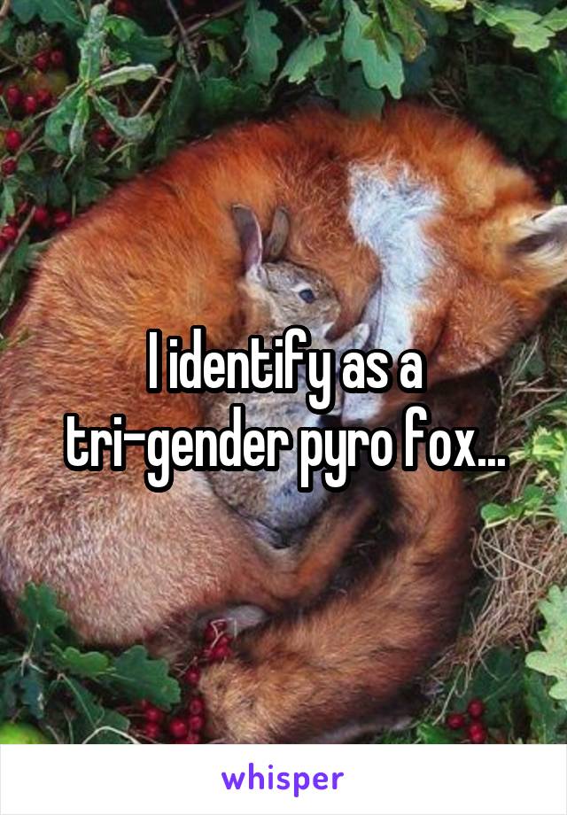 I identify as a tri-gender pyro fox...