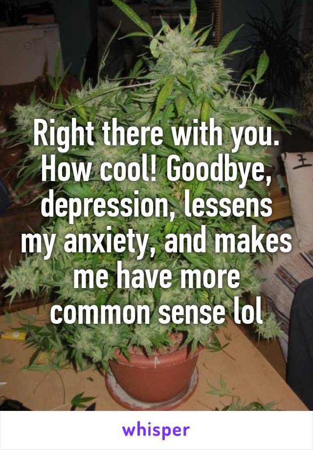Right there with you. How cool! Goodbye, depression, lessens my anxiety, and makes me have more common sense lol