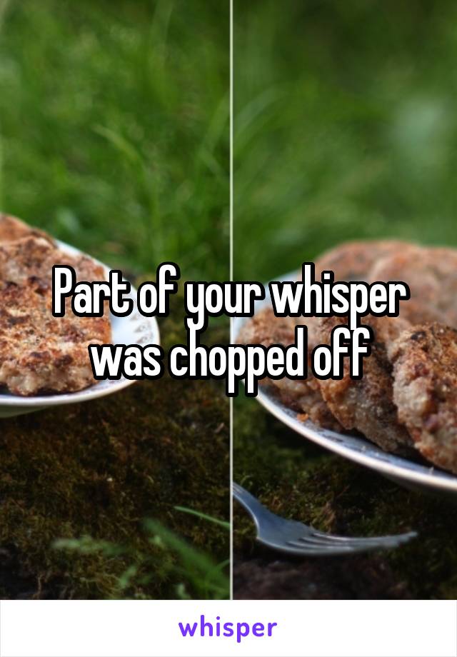 Part of your whisper was chopped off