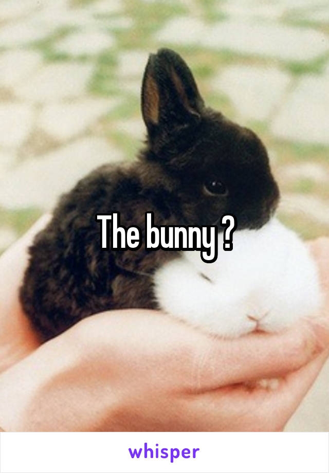 The bunny ?